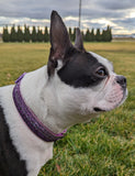 Purple Ombre Sparkle Dog Collar