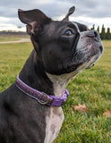 Purple Ombre Sparkle Dog Collar