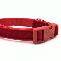 Red Velvet X-SMALL Dog Collar - Ready to Ship