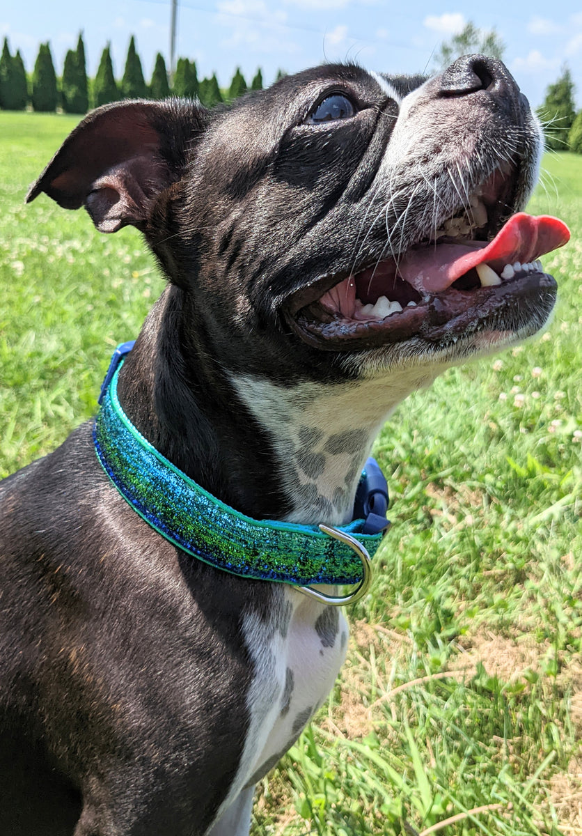 Ombre shop dog collar