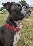 Bubblegum Pink Sparkle Dog Collar