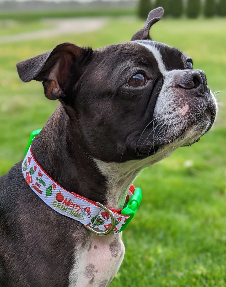 Merry Grinchmas SMALL Dog Collar - Ready to Ship – Rogue Collars