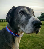 Patriotic Stars Dog Collar