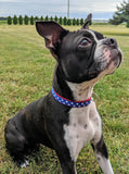 Patriotic Stars Dog Collar