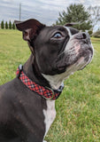 Red Black Tartan Plaid Dog Collar