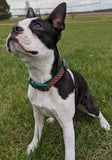 Red Black Tartan Plaid Dog Collar