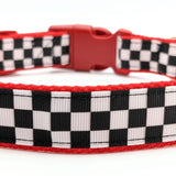 Checkered Flag Dog Collar