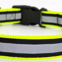 A neon yellow dog collar with a black and grey reflective ribbon on it. The collar has a black buckle and is on a plain white background.