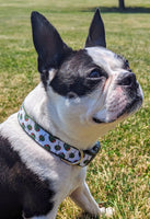 Olive Dog Collar