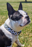 Olive Dog Collar