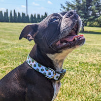 Olive Dog Collar