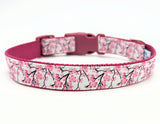 Pink Cherry Blossom & Branches Dog Collar - Spring Floral Design