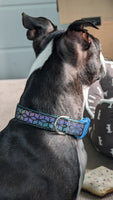 Stealth Rainbow Reflective Dog Collar