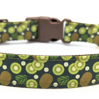Dog collar with dark green ribbon with kiwi fruit and slices. Dog Collar has a brown buckle.