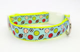 All-Star Sports Ball dog collar featuring baseball, basketball, football, soccer, tennis, and volleyball on a light blue ribbon with a white plastic buckle.