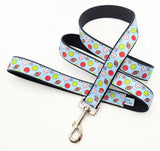 Matching All-Star Sports Ball ribbon dog leash in the light blue multi-sport ball pattern with a heavy-duty snap hook.
