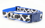 Handmade Holy Cow! dog collar featuring a black and white cow spot print on a satin ribbon, shown on a royal blue nylon base with a navy blue plastic buckle.
