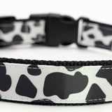 Handmade Holy Cow! dog collar featuring a black and white cow spot print on a satin ribbon, shown on a black nylon base with a black plastic buckle.