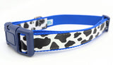 Handmade Holy Cow! dog collar featuring a black and white cow spot print on a satin ribbon, shown on a royal nylon base with a navy blue plastic buckle.