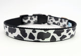 Handmade Holy Cow! dog collar featuring a black and white cow spot print on a satin ribbon, shown on a black nylon base with a black plastic buckle.