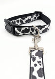 Handmade Holy Cow! dog collar featuring a black and white cow spot print on a satin ribbon, shown on a black nylon base with a black plastic buckle. Attached to the metal D ring is a matching leash.