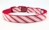 Red and white striped dog collar on a white background