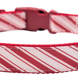 Red and white striped dog collar on a white background