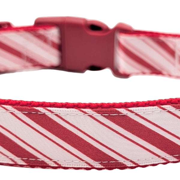 Red and white striped dog collar on a white background