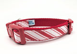 Red and white striped dog collar with a visible brand label on a white background