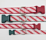 Red and white striped dog collars with green and red buckles on a white background