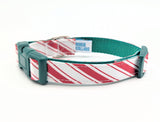 Dog collar with red and white striped pattern on a white background