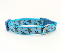 Sea Turtle Dog Collar