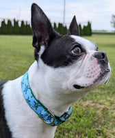 Sea Turtle Dog Collar