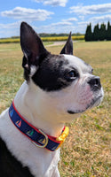 Sailboat Dog Collar - Handmade Nautical Design on Durable Nylon Webbing