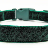dark green evergreen velvet dog collar with green nylon underneath and a green buckle. Image is on a plain white background.