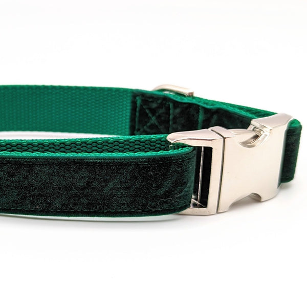 Evergreen Velvet LARGE Dog Collar - Ready to Ship