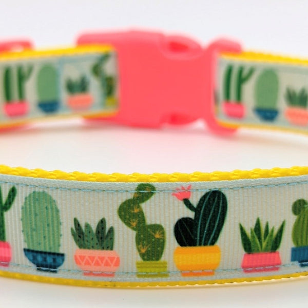 dog collar with potted houseplants. Made with light blue ribbon with potted cacti and succulents. The collar is made with yellow nylon underneath the ribbon and a neon pink buckle.