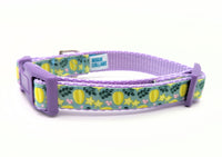Star Fruit Dog Collar