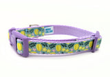 Star Fruit Dog Collar