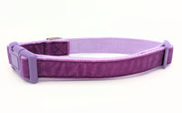 Purple Velvet Dog Collar - Made to Order