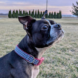 Houndstooth Dog Collar
