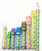 Star Fruit Dog Collar