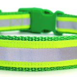 A neon yellow and grey reflective ribbon on a lime green dog collar. The collar also has a lime green buckle and is on a plain white background.