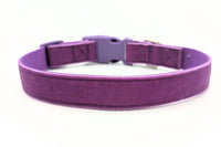 Purple Velvet Dog Collar - Made to Order