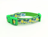 Star Fruit Dog Collar