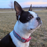 Houndstooth Dog Collar