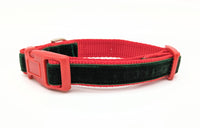 Evergreen Velvet SMALL Dog Collar - Ready to Ship