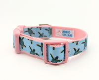 Sea Turtle Dog Collar