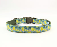 Star Fruit Dog Collar
