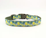 Star Fruit Dog Collar